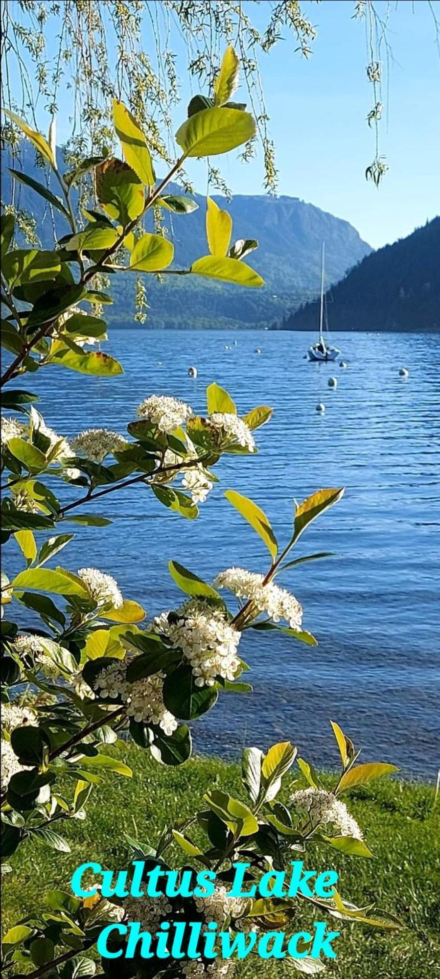 Private Suite 2Br Near Hwy 1, Heritage Park, Coliseum, Cultus Lake, Fishing, Chilliwack Værelse billede